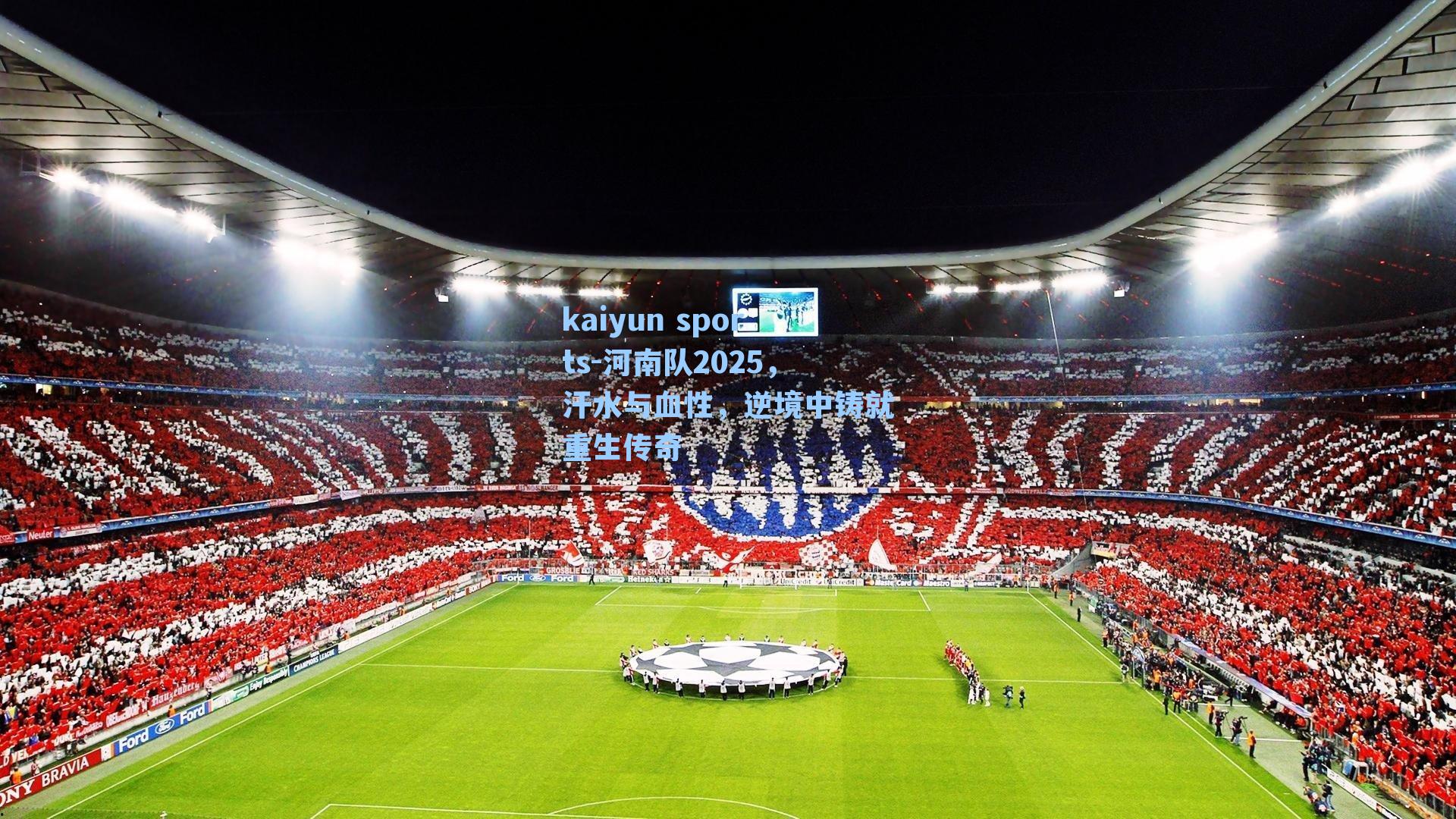 河南队2025，汗水与血性，逆境中铸就重生传奇