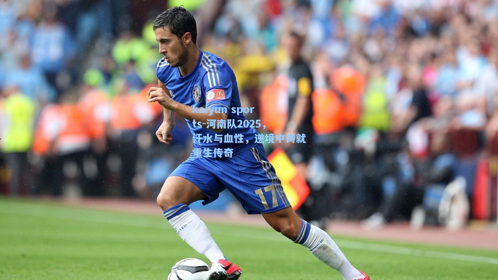 河南队2025，汗水与血性，逆境中铸就重生传奇